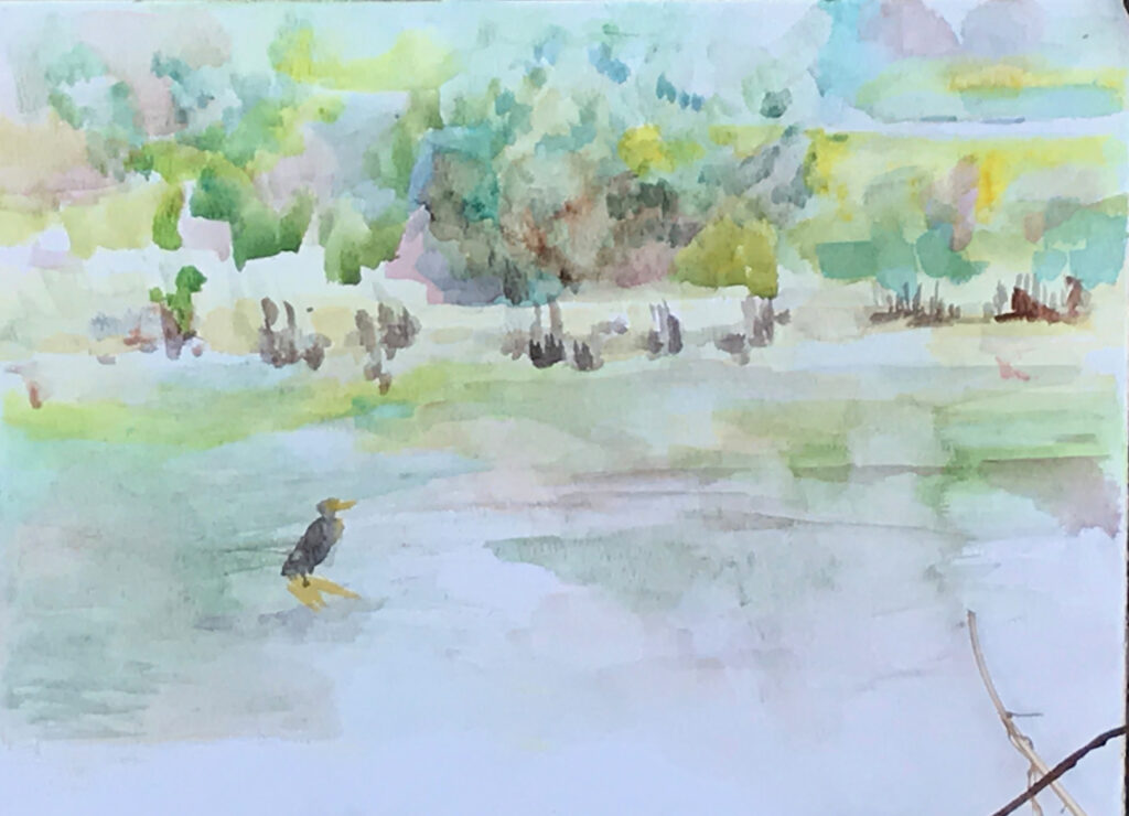 watercolor Portrait of a cormorant in the middle of the lagoon, with trees and hillside in the distance