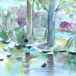watercolor painting of a duck pond with two large tree trunks at the far end, set in a residential neighborhood