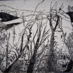 Woodcut of overview of tops of conifer trees, with large human hands superimposed to manipulate them